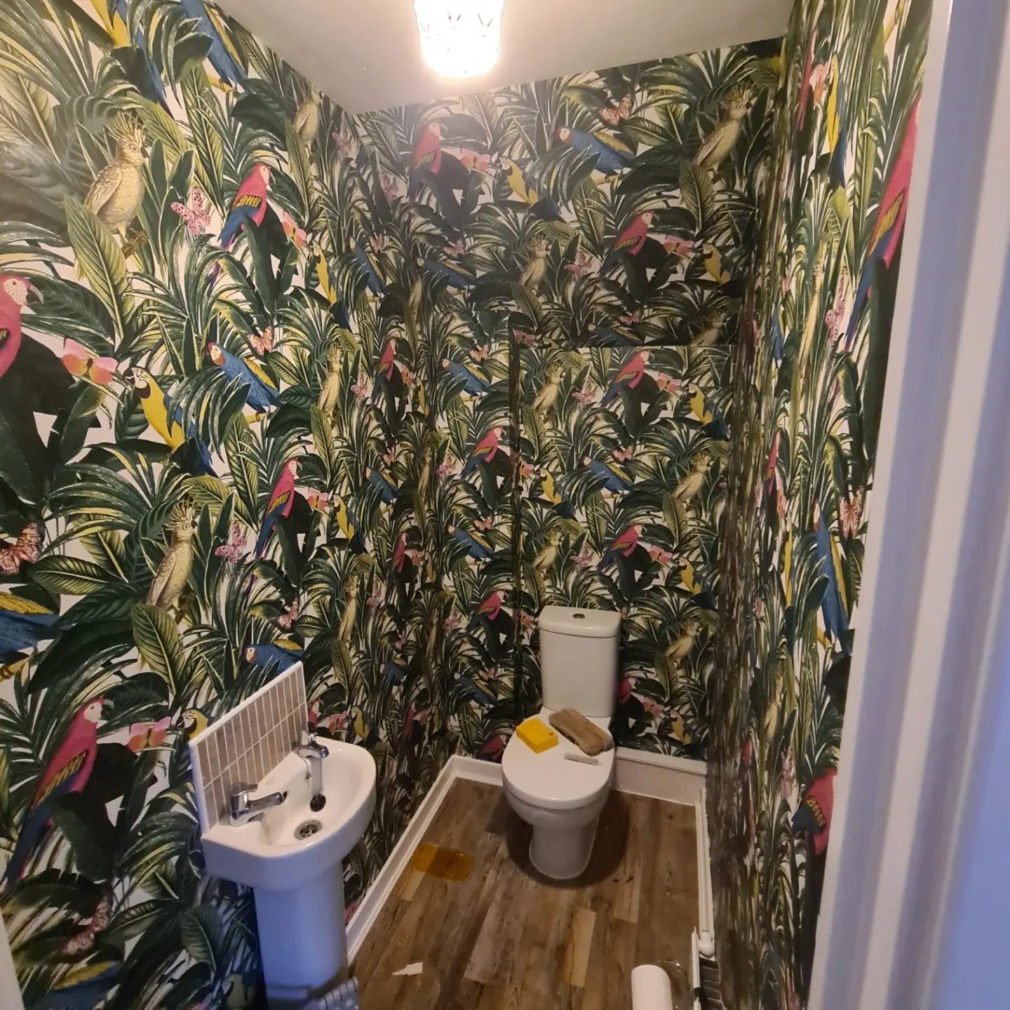 A small cloakroom papered on every wall in a tropical bird print