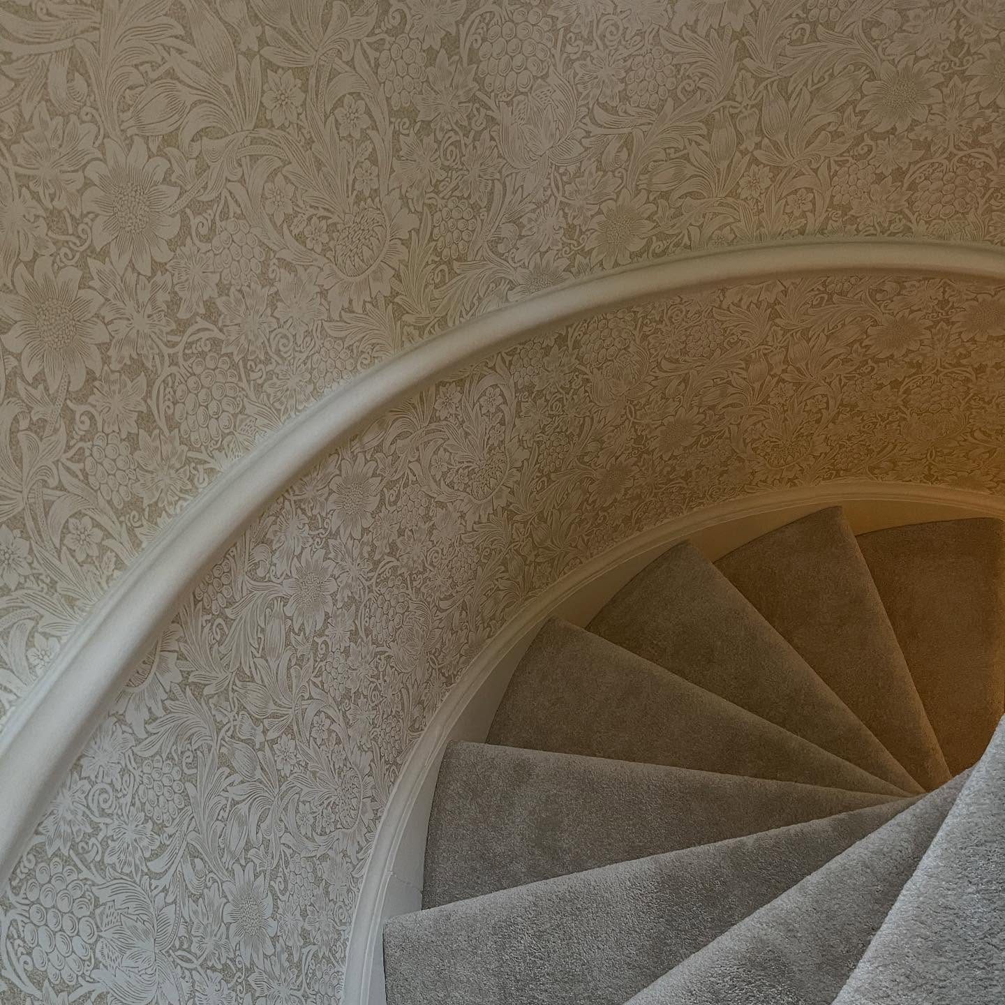 Looking down a curved turret staircase, with a botanical print on the curved walls